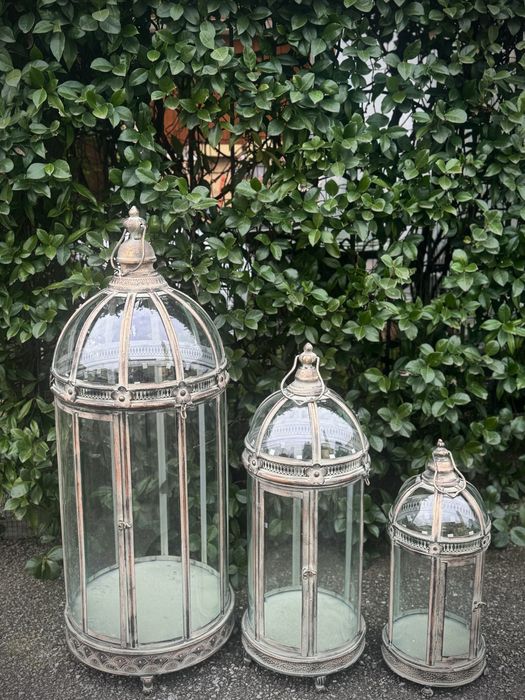 Tris Felinare  in bronz