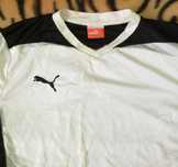 PUMA DRI FIT ! Двe Оригинални Тениски от Дишаща Материя ПУМА ДРАЙ ФИТ