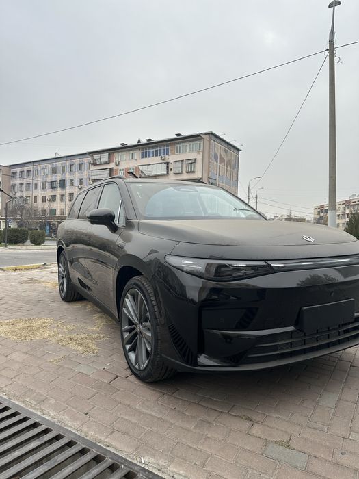 Лиммотир с16  гибрид 2025