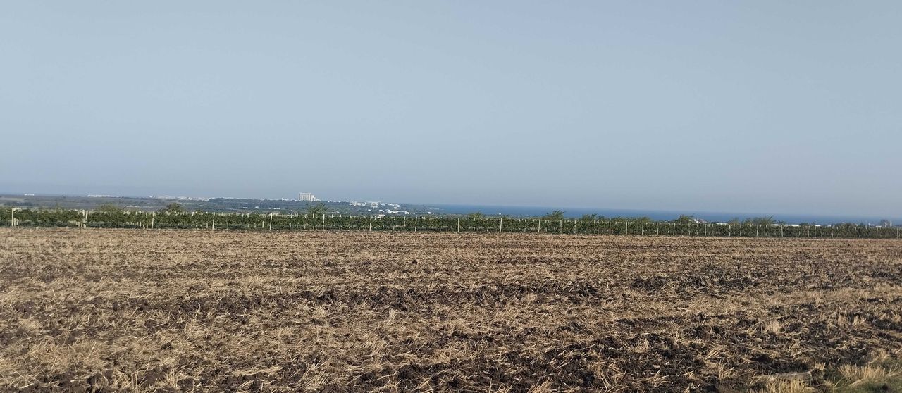 Продава се Парцел в Поморие - 2300 кв.м за 5 €/кв.м - Снимка #4