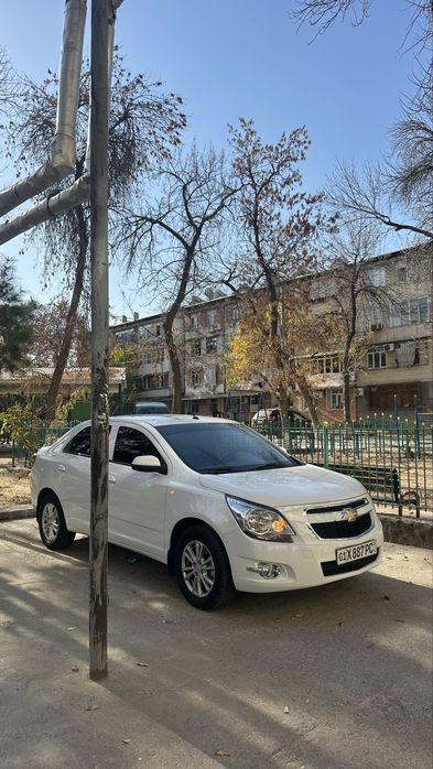 Cobalt GX-STYLE 4 Full Tozza