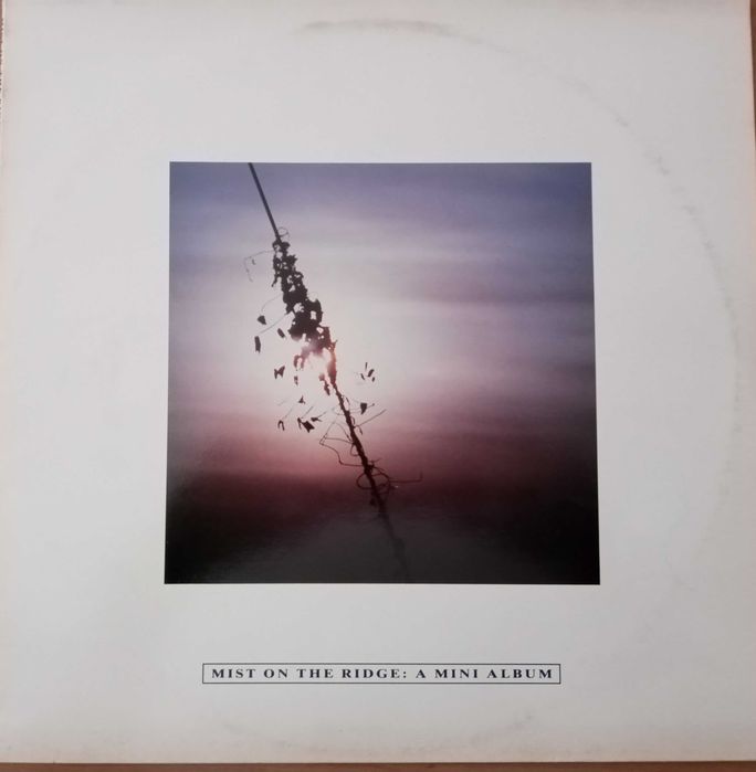 Грамофонни плочи за всеки вкус