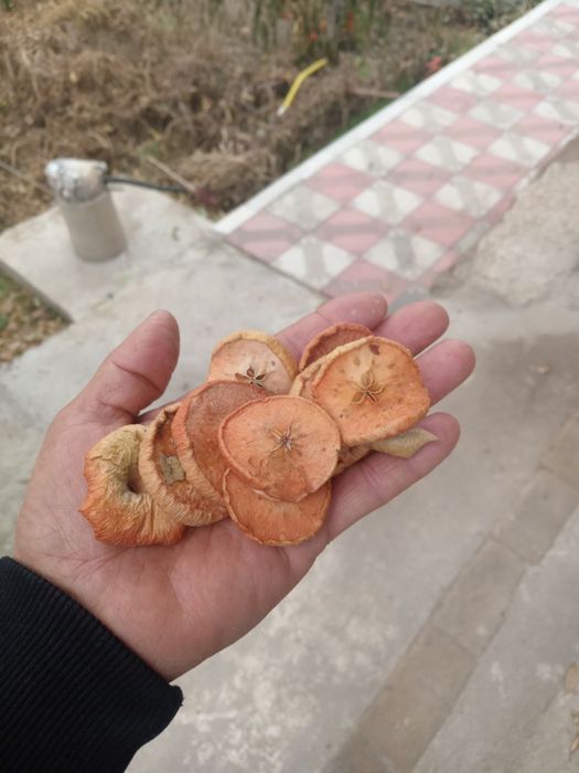 Olma qoqi / олмакоки / сушеные яблоко