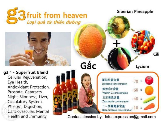 g3 - Gâc - Fructul din rai !