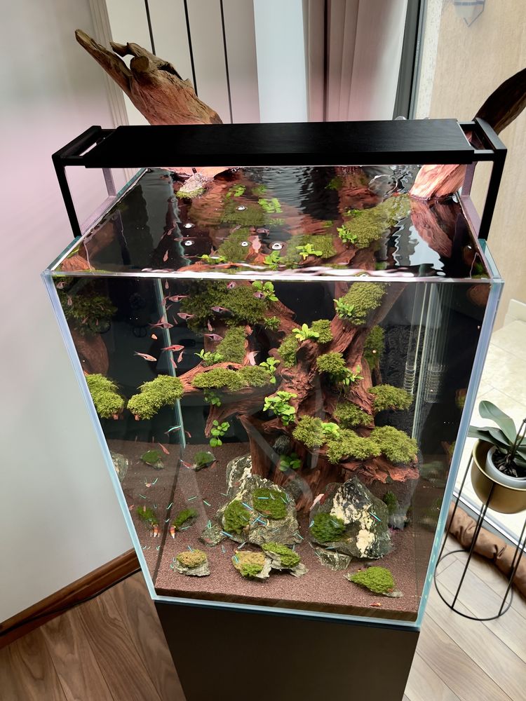 Acvariu 175L sticla ultraclara