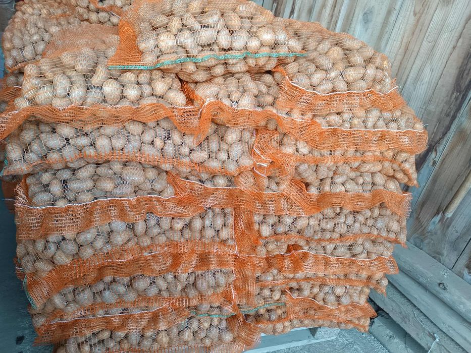 Cartofi Carrera-ultra consum și animale