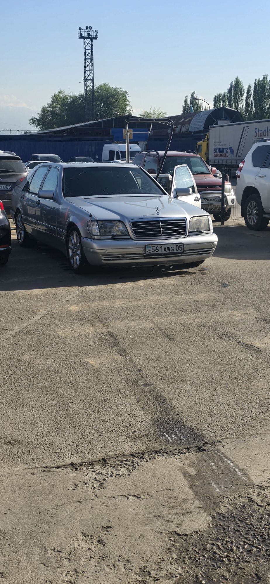 продам кабана срочно