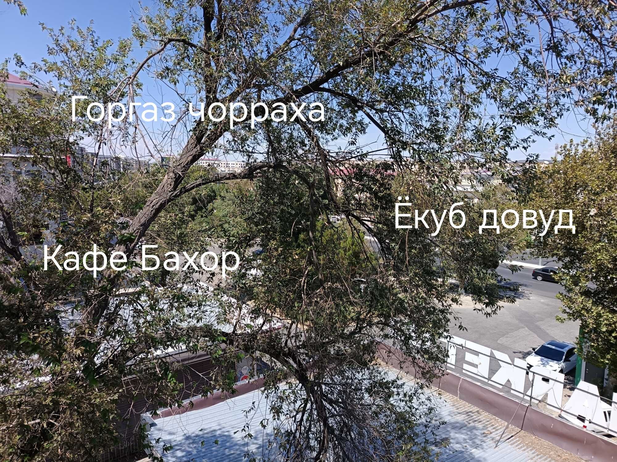 Горгаз Кафе Бахор 2 хоналик 4 етаж камфорт янги ремонт йулни устидан.