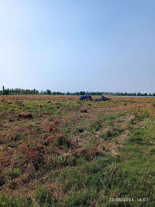 Xashak press sotiladi holati a'lo quruq mol qoʻylarga yaxshi ozuqa
