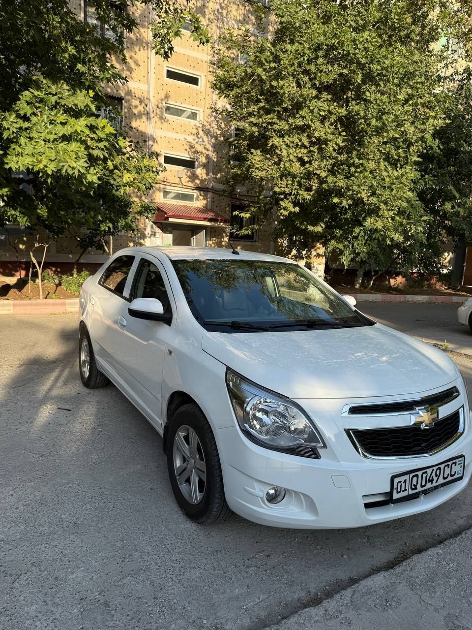 Arenda Vikup Cobalt 2023