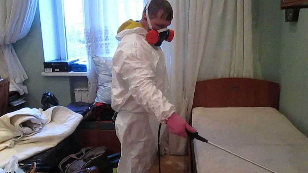 Dezinfeskiya Дезинфекция: защита вашего здоровья и благополучия 6D