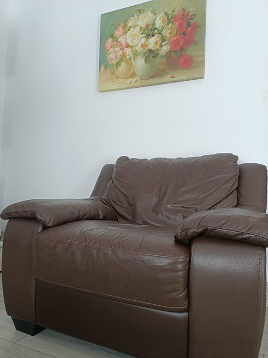 Fotoliu din piele