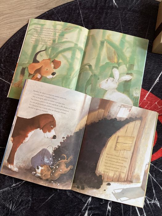 Set 2 carti copii 3+