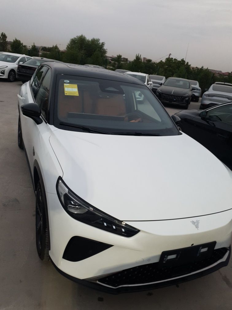Neta L. Hybrid.2024. RWD.