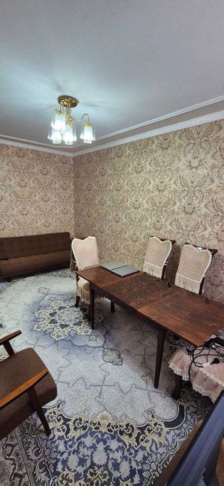 Алока тинчлик   3/3/5   чистый