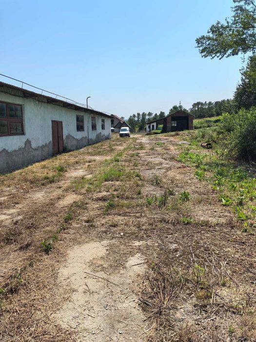 Vand\ Inchiriez hale, 2000 mp cu CF intravilan