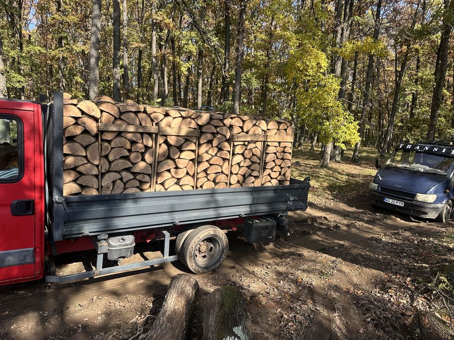 Lemne de foc taiate si sparte