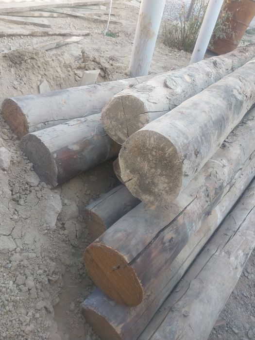 Дом и сад олх сарыагаш