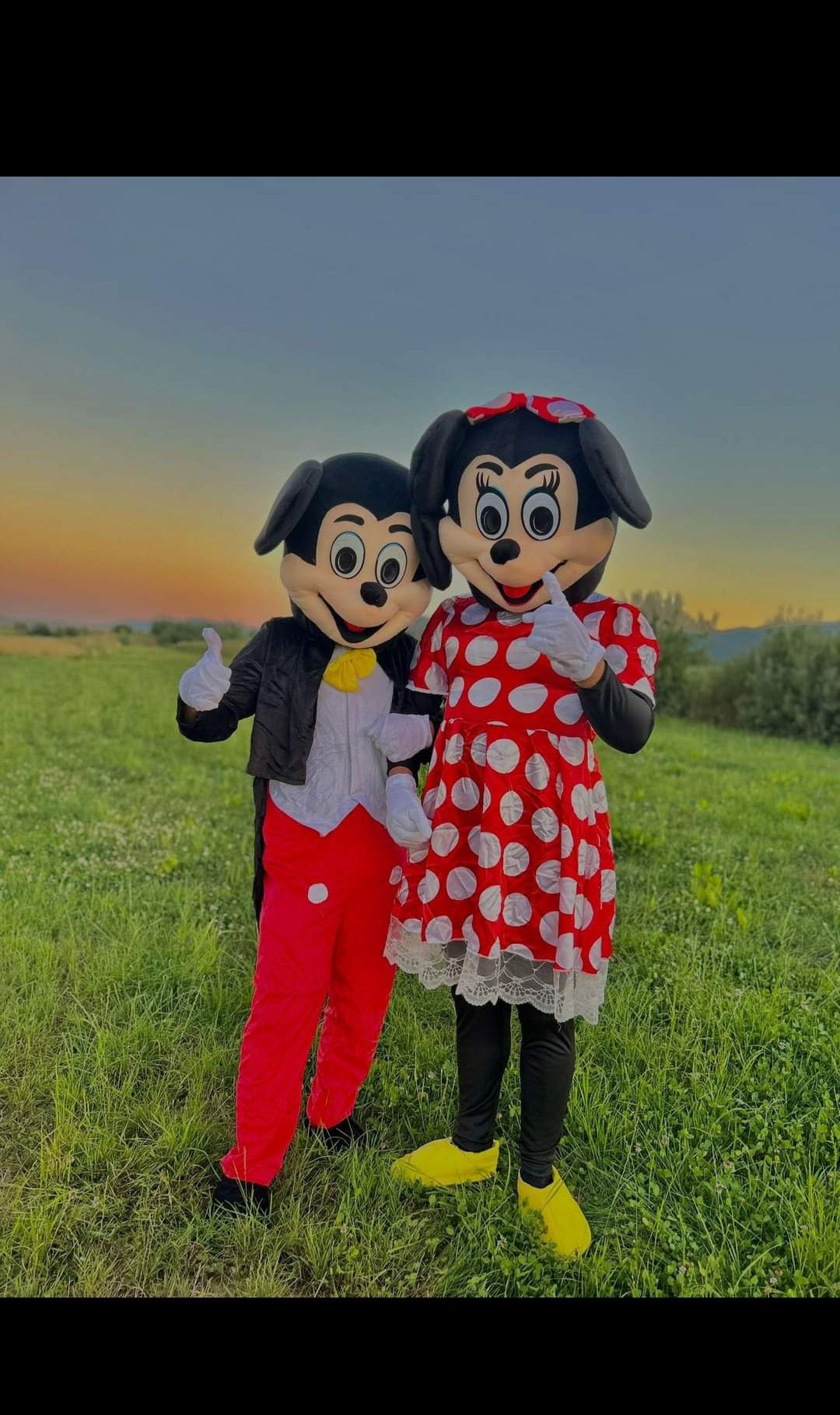Minnie și Mickey
