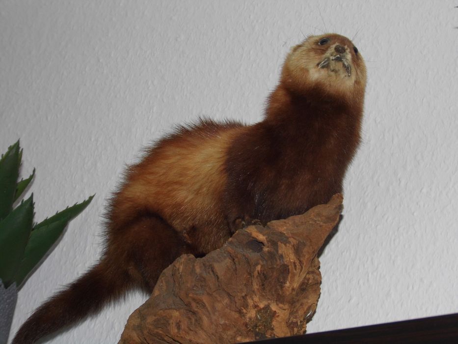 Canon PowerShot A3200 IS - camera digitala