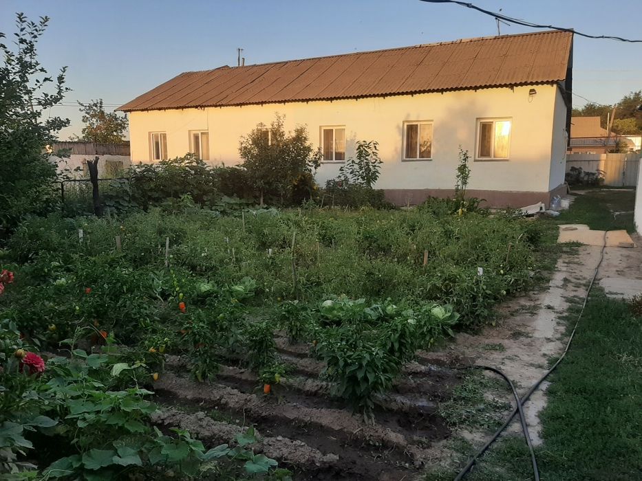 Продам дом с участком