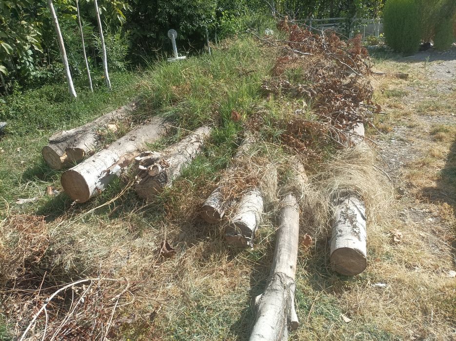 Terak .Терак сотилади