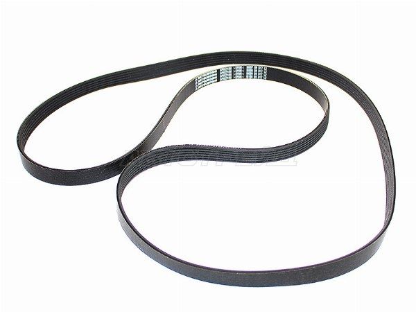 Ремень приводной Ford Focus