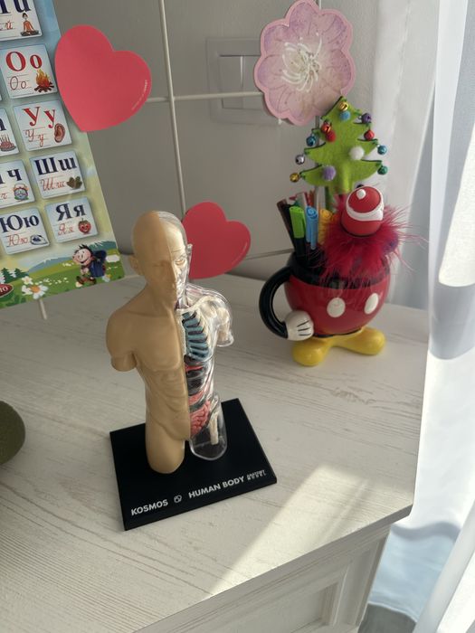 Всички играчки 25 лв