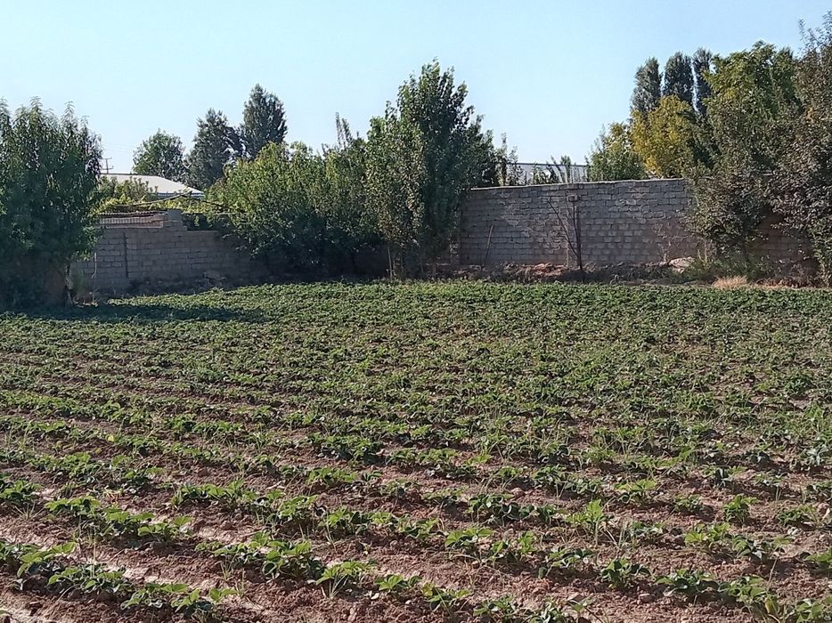 Земельный участок 6 сотик