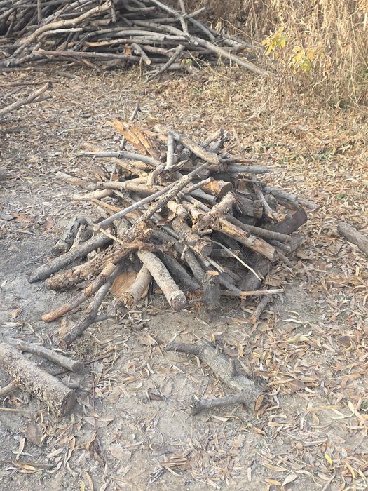 отдам даром дрова