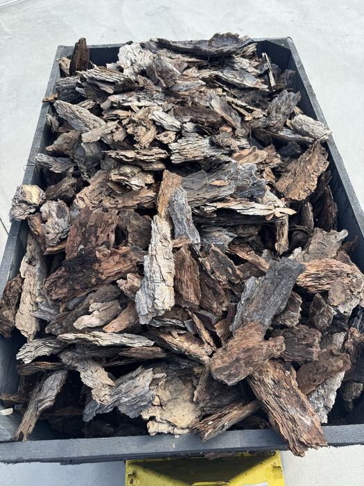 Scoarta  decorativa curti gradini , pin natural