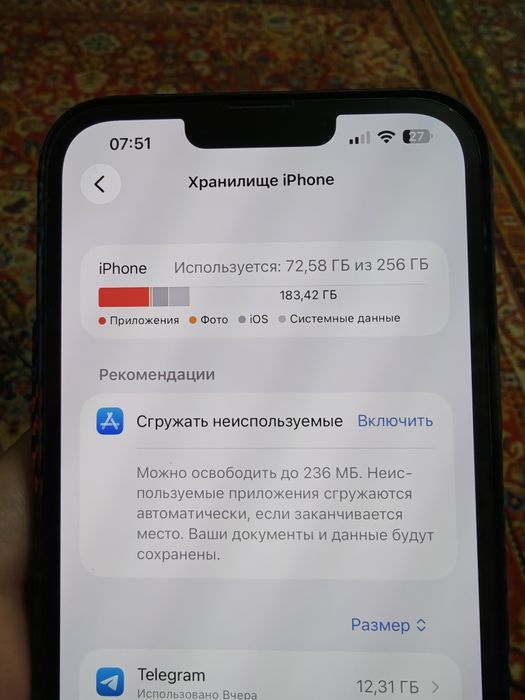 iPhone 13 Pro Max 256 GB