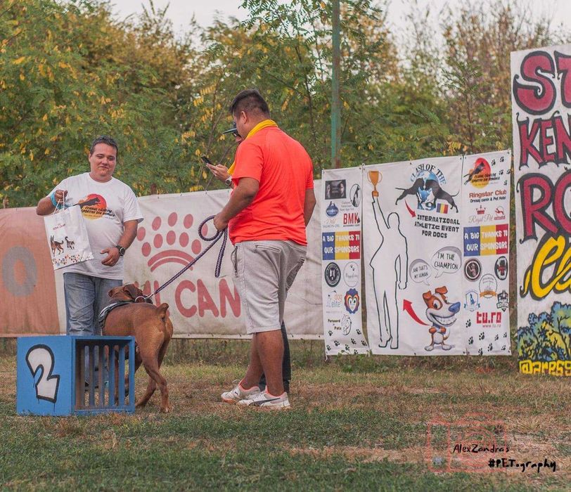 Dresaj Canin si Pensiune canina