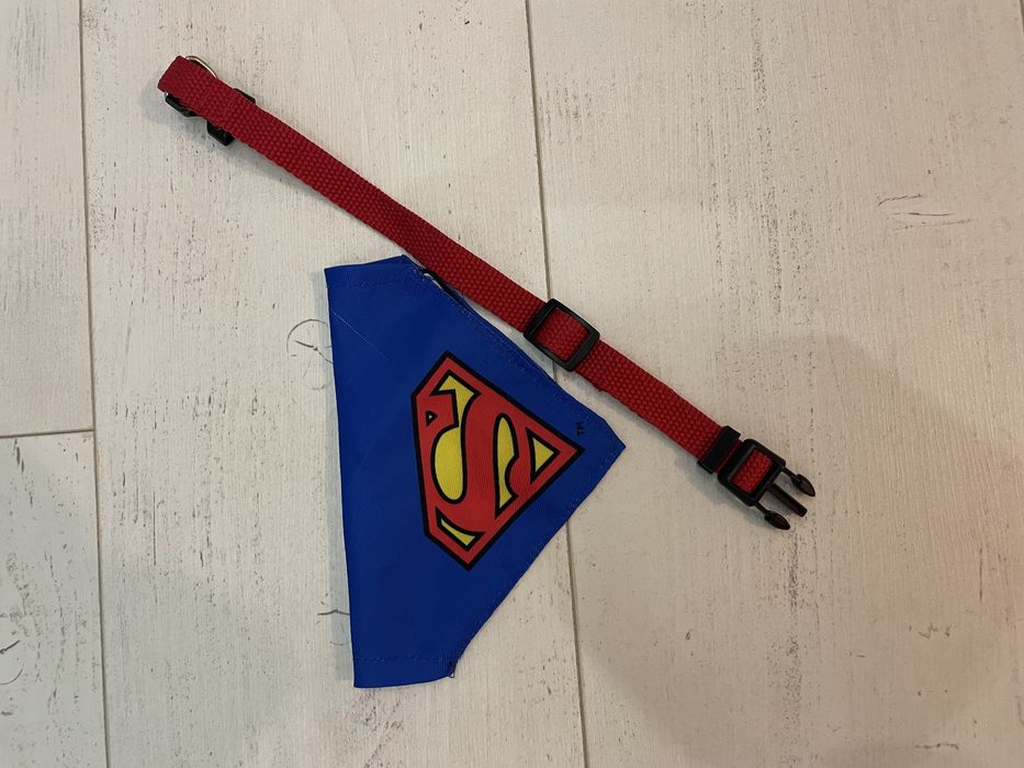 Нагръдник за йорки - Супермен