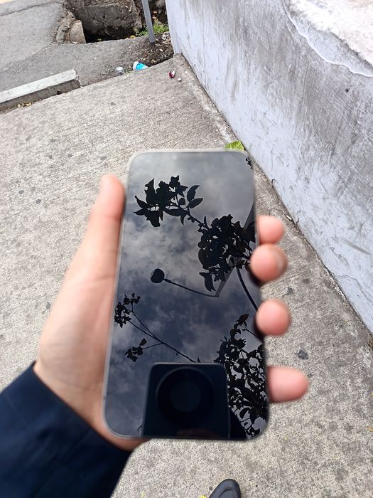 Iphone 13 pro max. Tiniq.