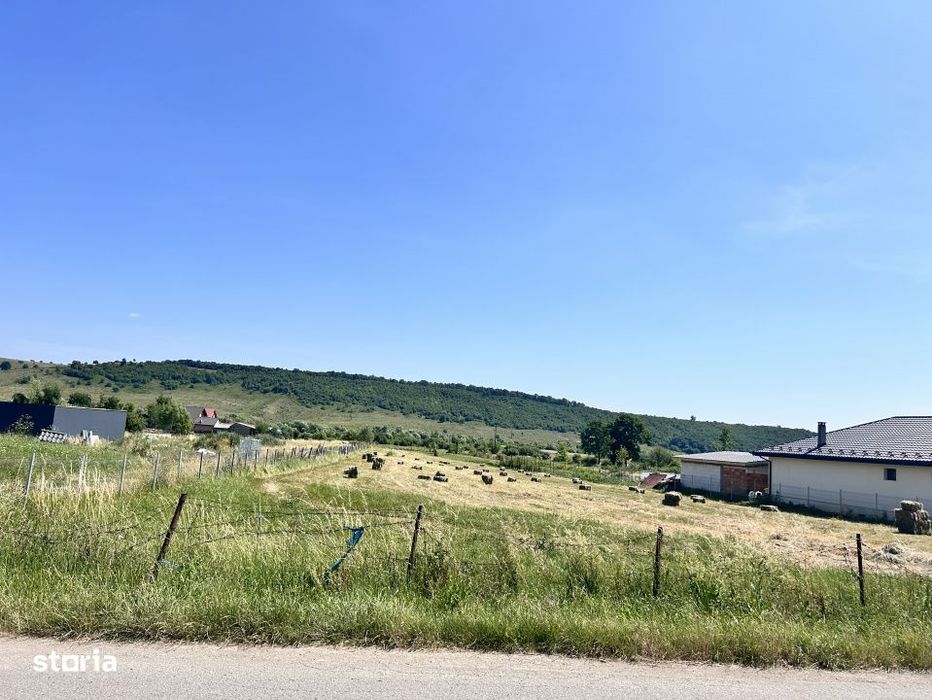 Teren intravilan Monariu  25 ari cu Hala amplasata pe proprietate.