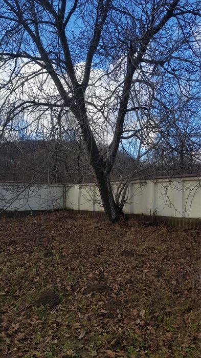 Vand urgent teren Breaza