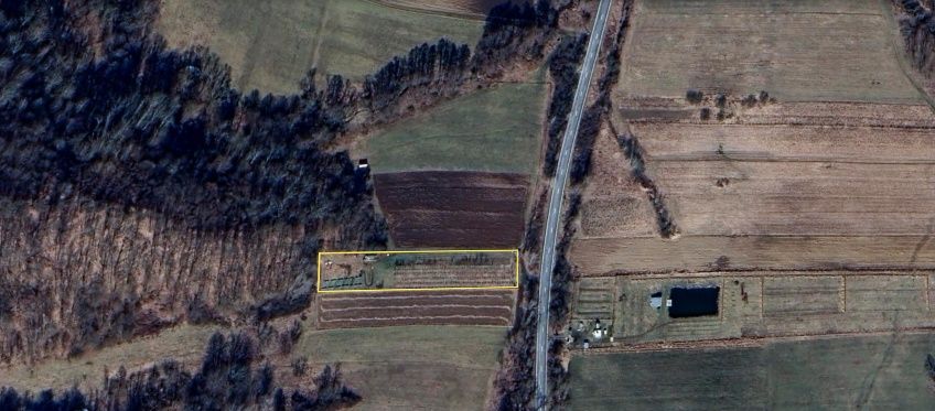 Teren agricol, 3000 mp, la șosea cu pomi
