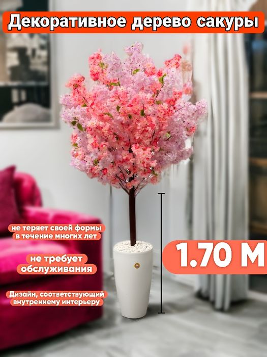 Декоративное дерево сакуры 1.70 M