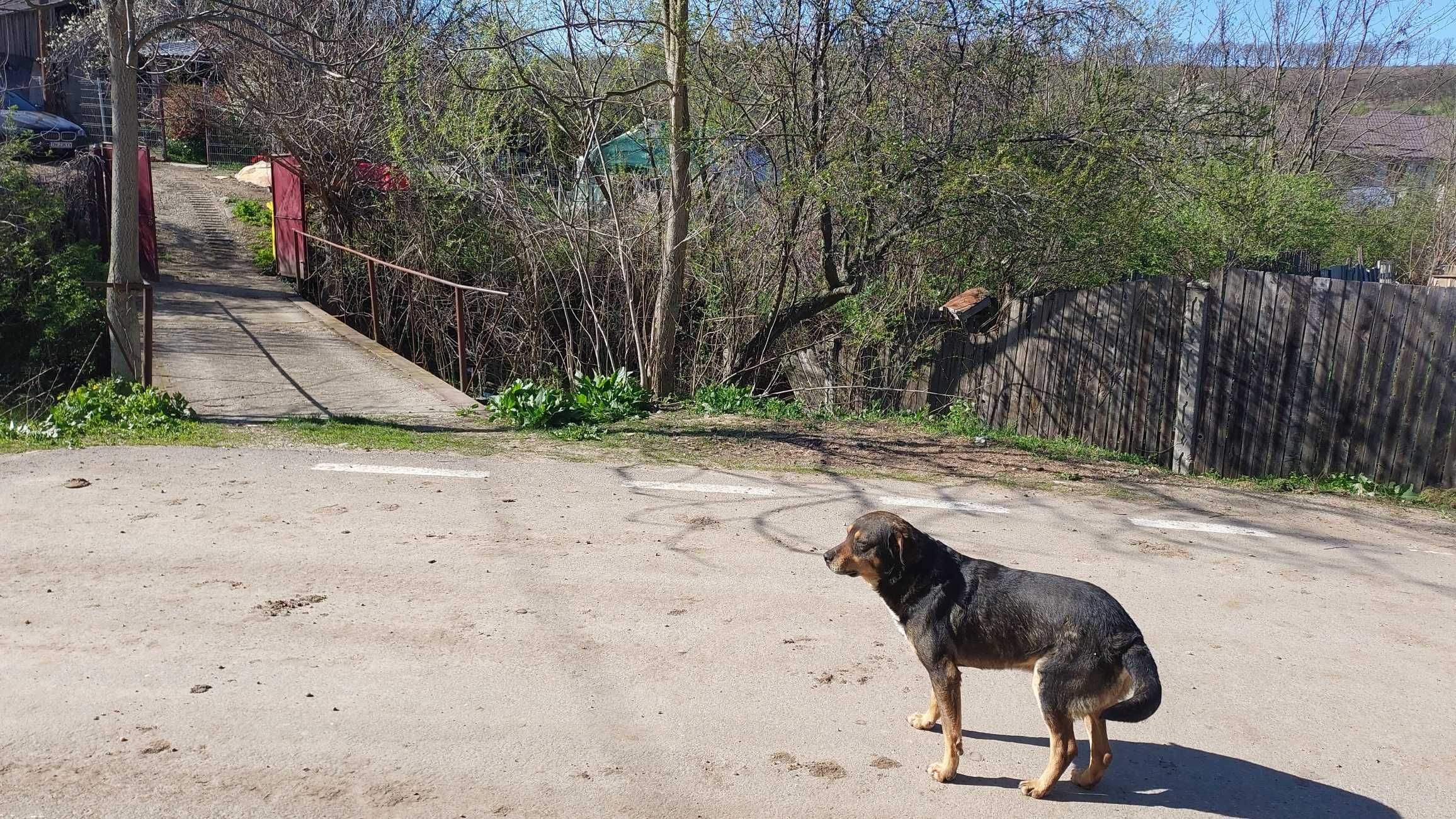 Gospodărie situata în Leamna De Sus , județul Dolj.