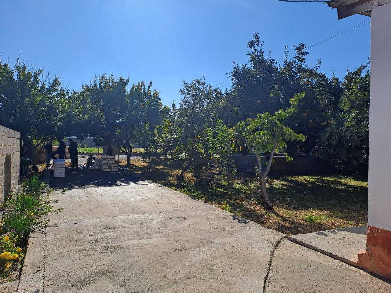 Andijon viloyati Asaka tumanida Issiqxona bino inshoati sotilmoqda.