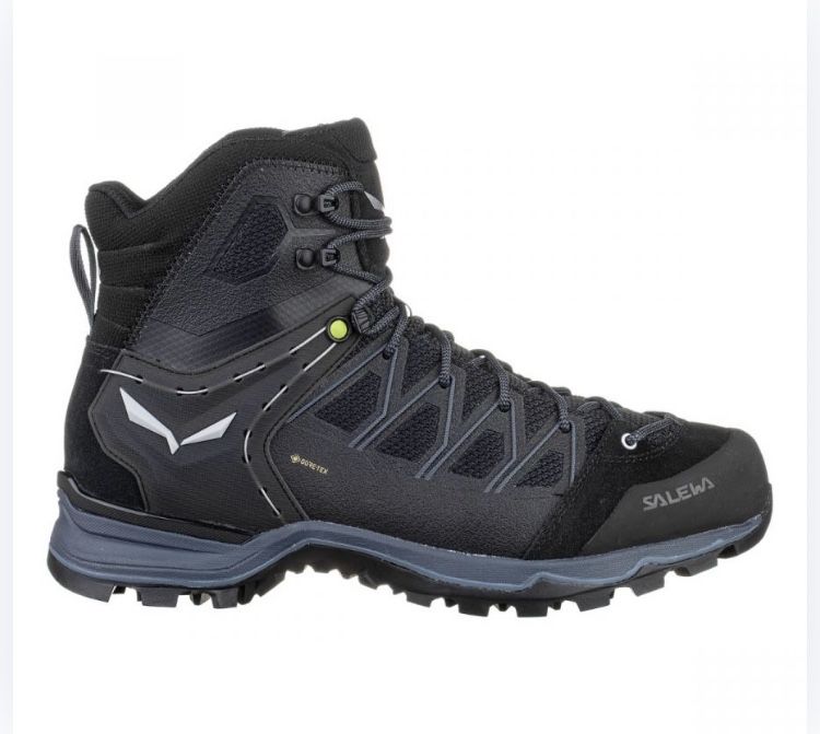 Обувки Salewa MTN Trainer GTX и The North Face 45.5