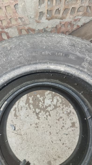 2 cauciucuri continental 195 65 r 15 , 100 leii bucata