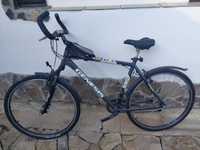 Vand bicicleta Genesis