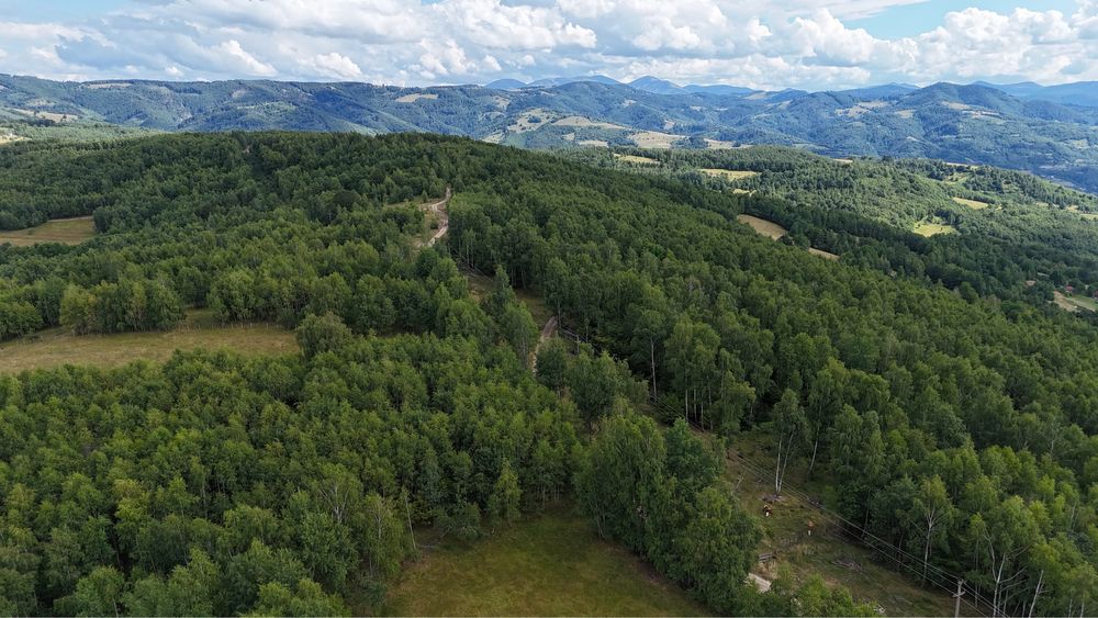 vand teren la munte Bulz Munteni 10.5 hectare
