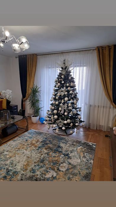 Vând brad cu tot cu ce vede in el!