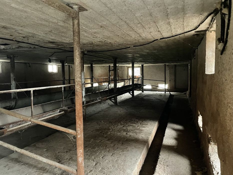 Мол ферма сотилади еки аренда