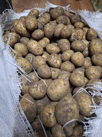 Продам Железинский картофель 130 тнг за кг