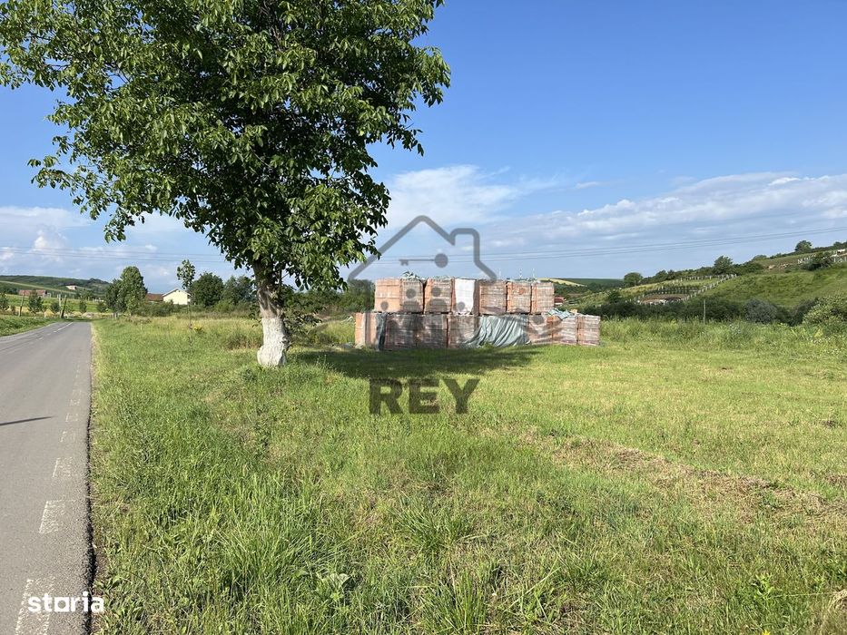 Teren HALA de vanzare iesirea din Sura Mare spre Hamba/Casă single/dup
