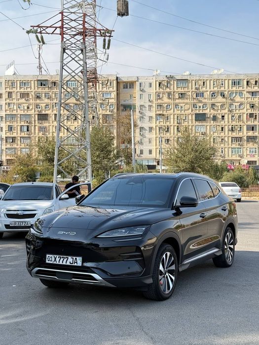 Byd champion  605 km holati ideal kelishamza 2024 yili